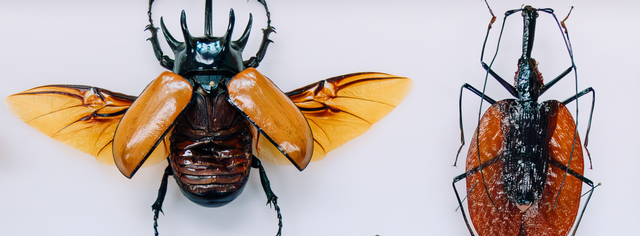 Saturday, February 7, 2026