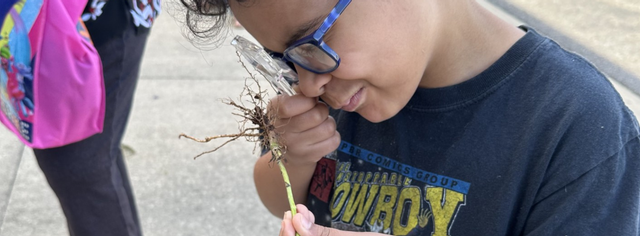 Programming specifically designed for homeschool students