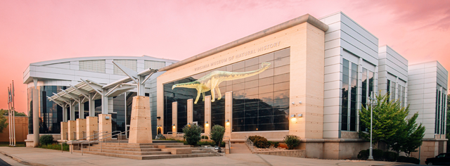Museum Careers