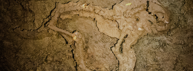 Petra as found in cave*