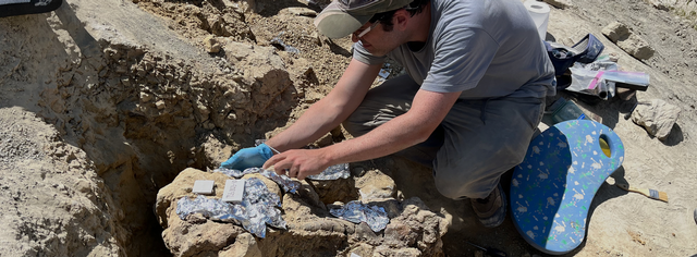 2023 Wyoming Dinosaur Dig