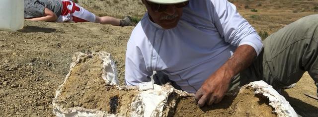 Wyoming Dinosaur Dig