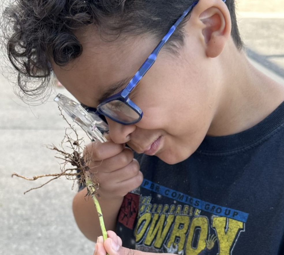 Homeschool Science & Engineering Academy - Morning Session
