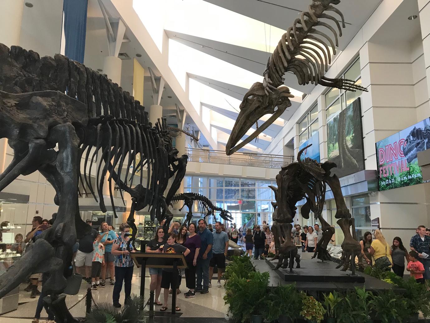 VMNH receives $25,000 grant