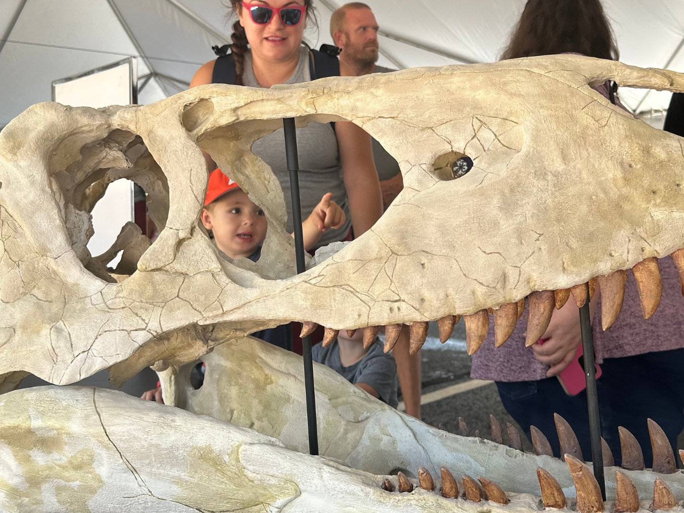 The Ultimate Dinosaur Adventure Returns