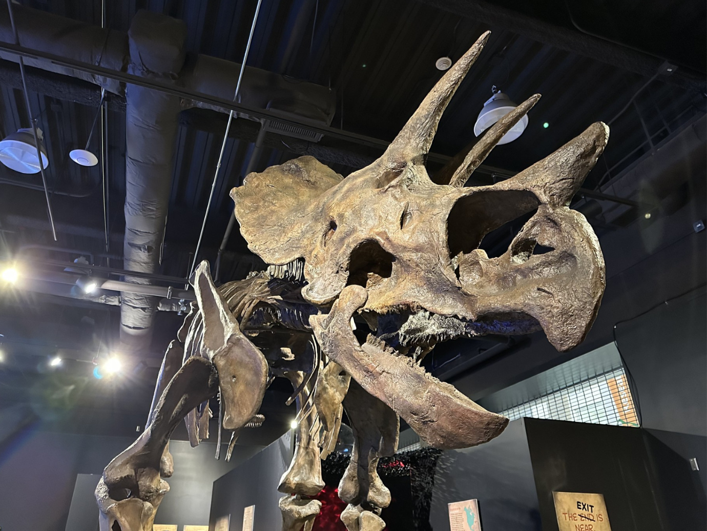 The Age of Dinosaurs arrives