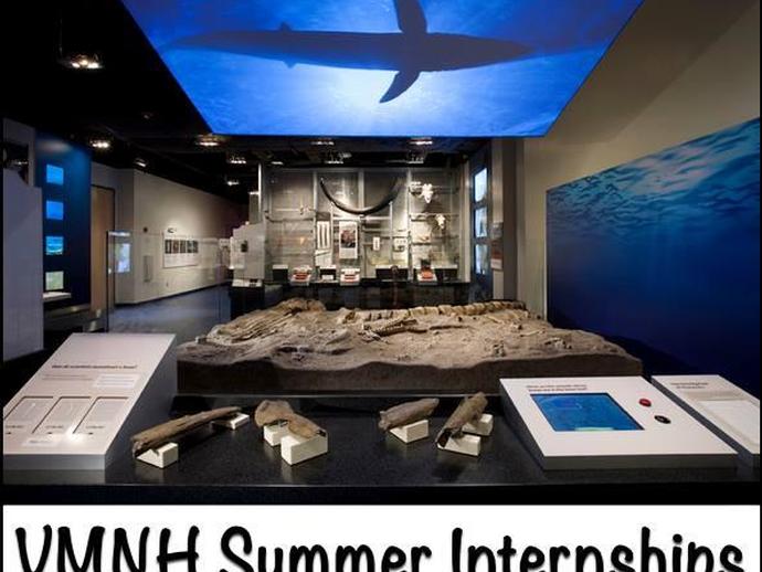 The museum's Department of Education and Public Programs is now accepting summer internship ...