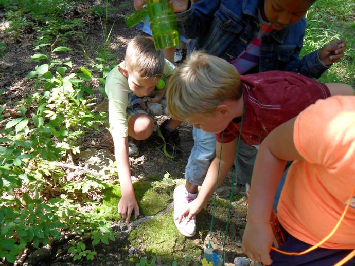 The Virginia Museum of Natural History recently completed its 2013 Summer Camps ...