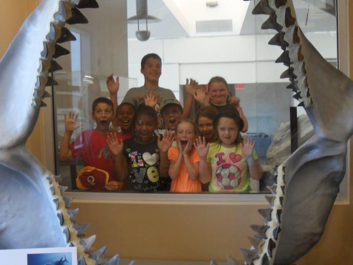 From our last #TriviaTuesday, we asked: 

How many teeth does our Megalodon jaw have?
