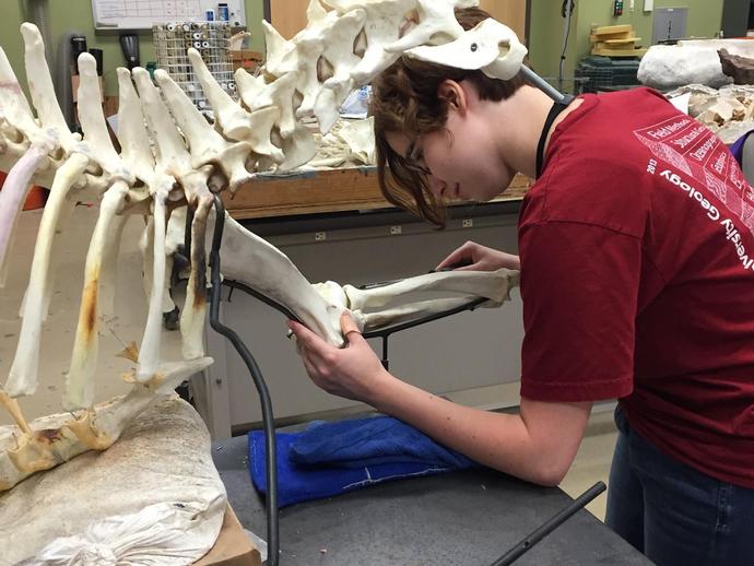 Join us in welcoming our new paleontology intern Sam Popejoy