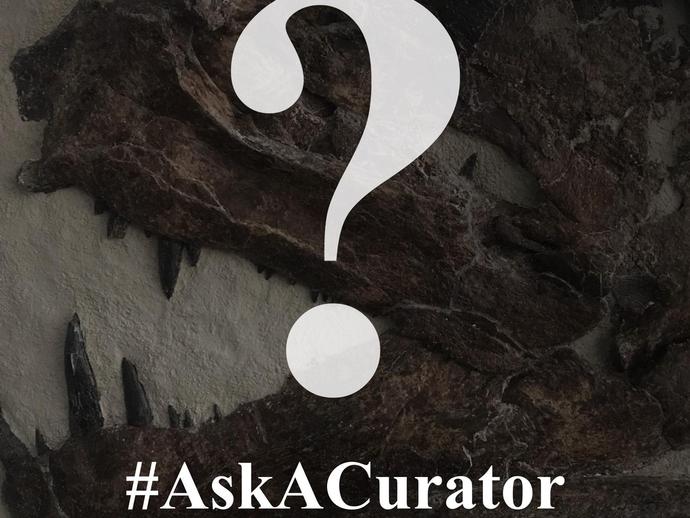 VMNH is participating in #AskACurator day on Wednesday ...
