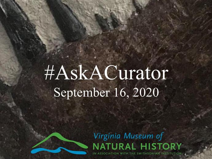 Today is #AskACurator day!