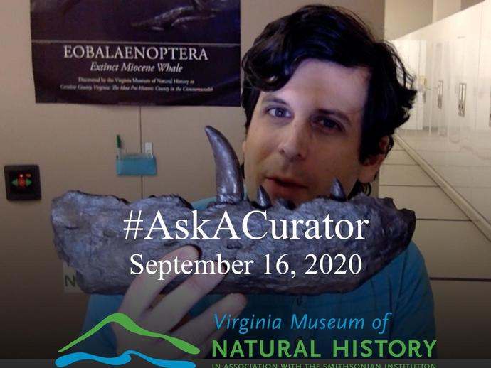 Today is #AskACurator day!