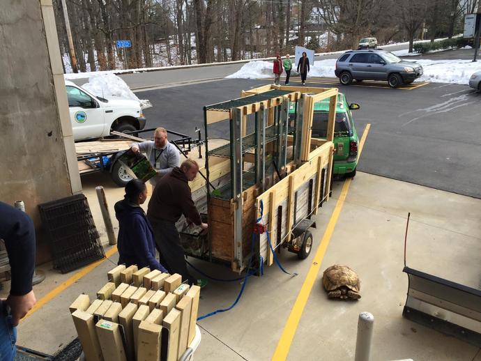 Chad (the tortoise) and Gunter (the emu) have arrived at the museum!