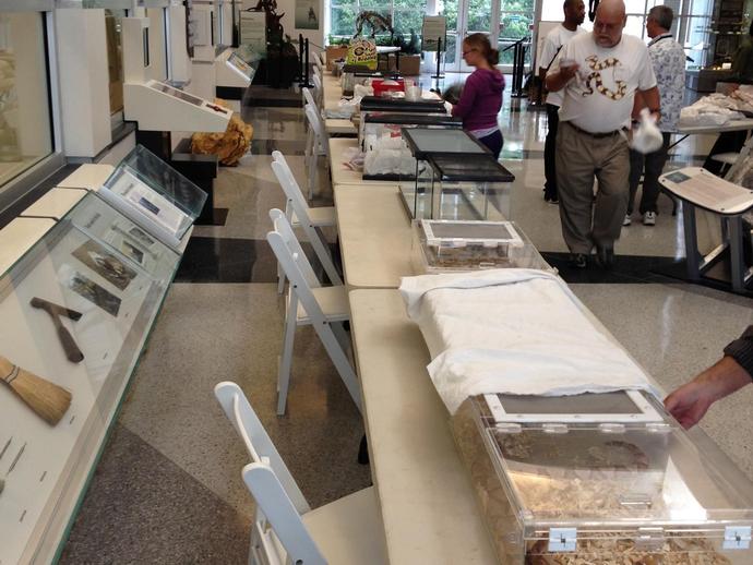 Keith Farmer (right and facing) has brought hundreds of snakes to the museum in preparation for ...