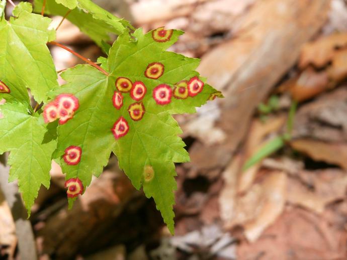 We're reaching into the archives for today's #BenInNature update!