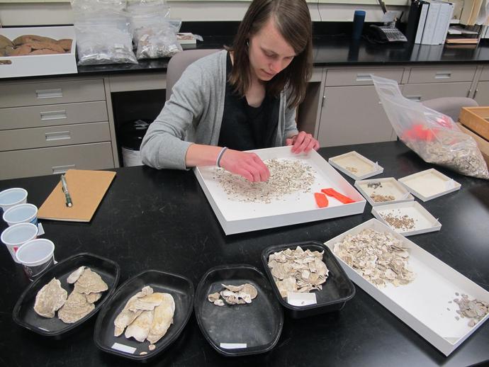 We're glad to welcome back Jessica Clark this summer to the museum's archaeology lab!