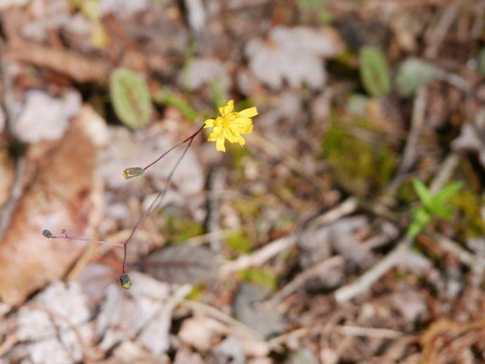 We're reaching into the archives for today's #BenInNature update!