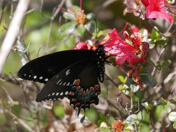 We're reaching into the archives for today's #BenInNature update!