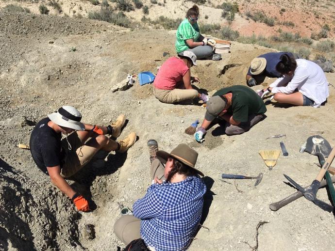 Wyoming Update:  Day 1 of the dig was a success!