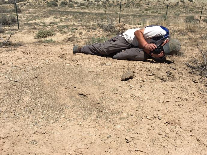 Wyoming Update: It's Day 3 of the Dino Dig! In this picture, Dr