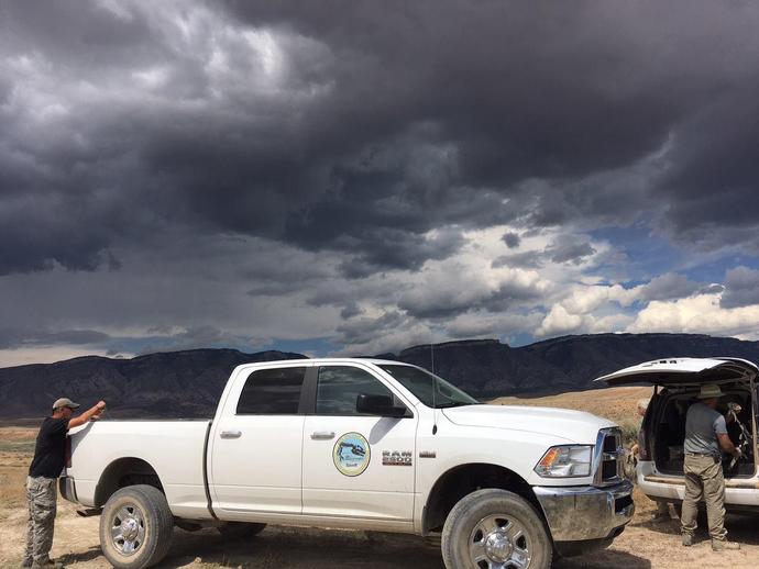 Wyoming Update:  Yesterday's dig got cut a bit short due to weather