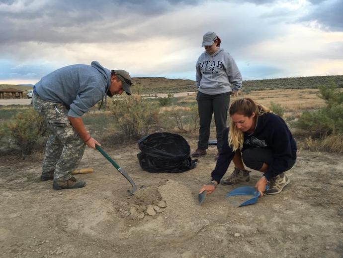 This morning we wrapped up the ants & fossils project too by collecting fossil-rich material ...