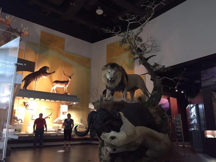 We're busy with more updates to our permanent exhibit galleries!