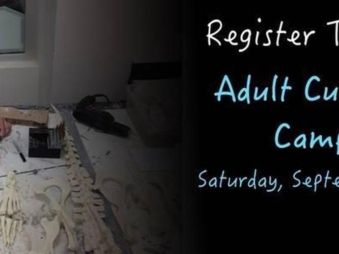 Have you signed up for Adult Curator Camp?