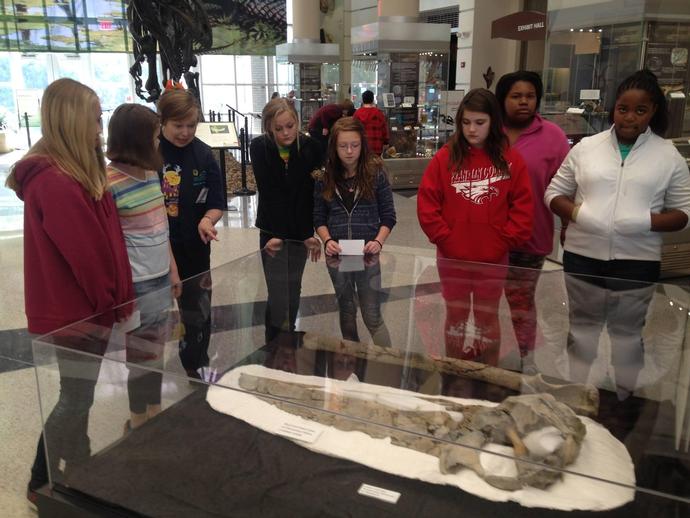 6th graders from Benjamin Franklin Middle School in Franklin County are learning about fossil ...