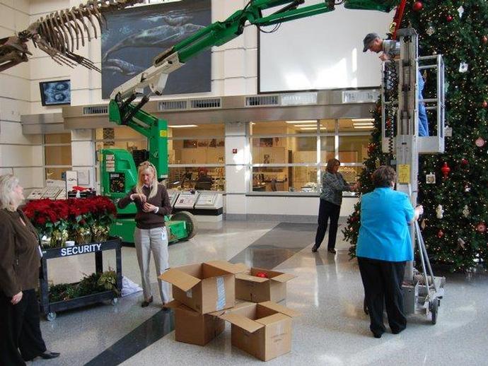 VMNH staff and visitors take part in decorating the VMNH Tree in the museum's Harvest Foundation ...
