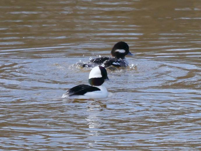 It's time for today's #BenInNature update presented by our friends at Carter Bank & Trust!