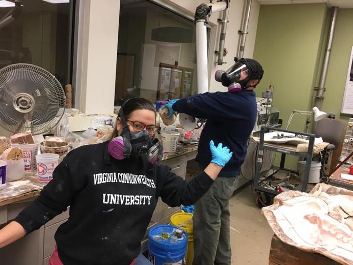 Casting a giant beaver in the paleo prep lab today, come by VMNH to see it happen!