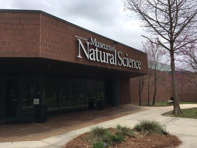 Third stop for VMNH paleontologist Alex Hastings at the Mississippi Museum of Natural Science in ...