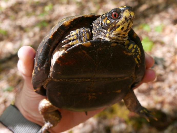 We're reaching into the archives for today's #BenInNature update presented by our friends at ...