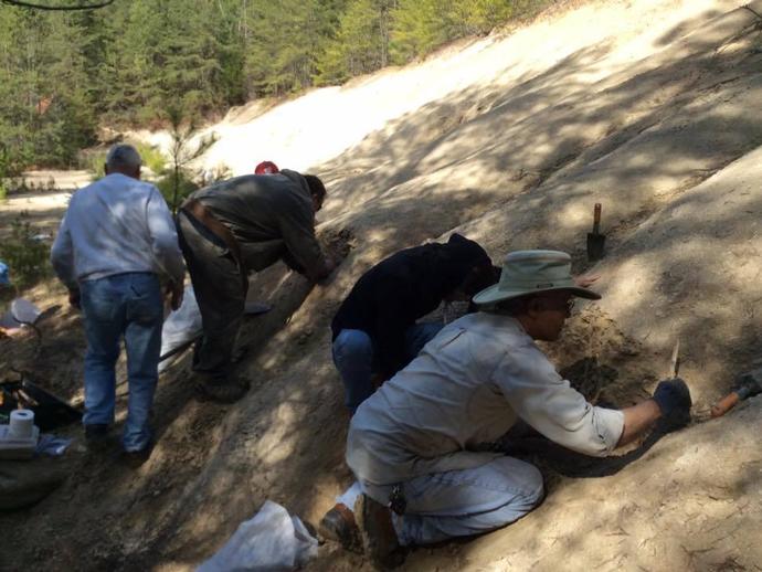 FACEBOOK LIVE FROM THE CARMEL CHURCH QUARRY!

Dr