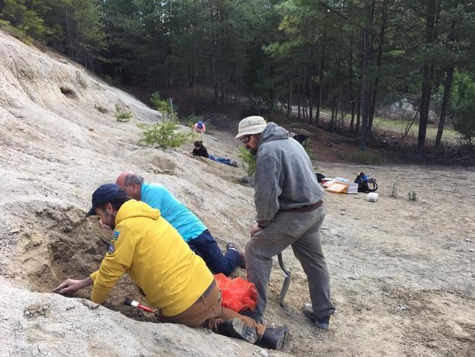 Day 3 for the VMNH paleo team at our 14 million year old fossil site