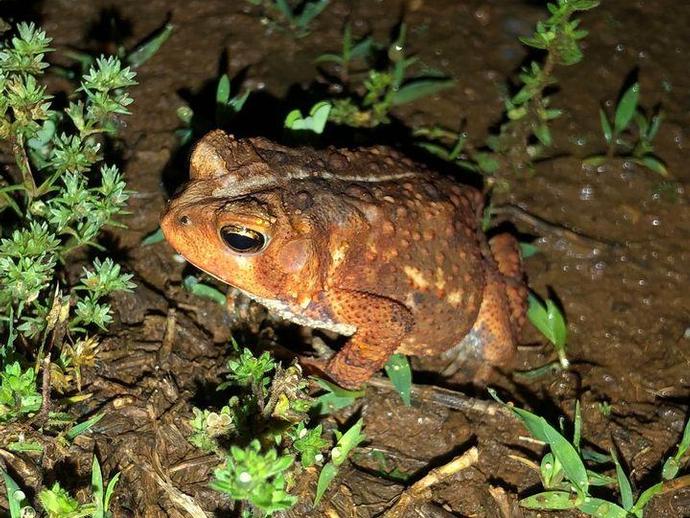 We're reaching into the archives for today's #BenInNature update presented by our friends at ...