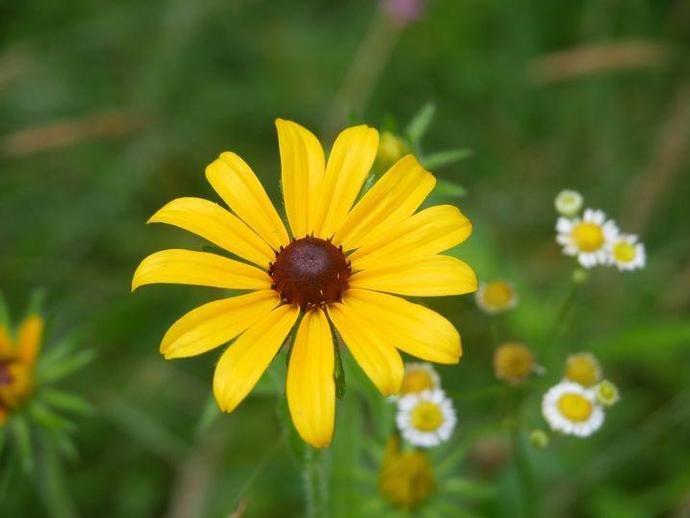 We're reaching into the archives for today's #BenInNature update presented by our friends at ...