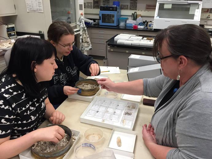 We had a blast hosting our second-ever Adult Curator Camp today at the museum!