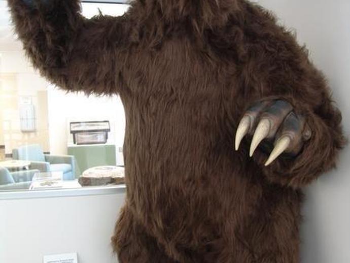 Jefferson's Ground Sloth
(Megalonyx jeffersonii)

Residents of Virginia during the Ice Age ...