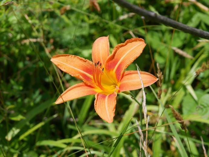 We're reaching into the archives for today's #BenInNature update presented by our friends at ...