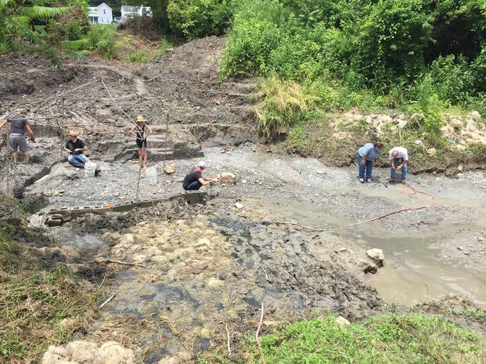 Several museum scientists and researchers are in Saltville ...