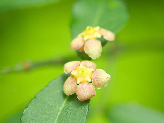 It's time for the Thursday edition of #BenInNature presented by our friends at Carter Bank & ...