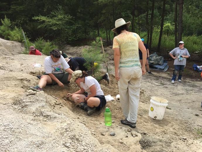 Quick post from Day 3 at the Carmel Church fossil site