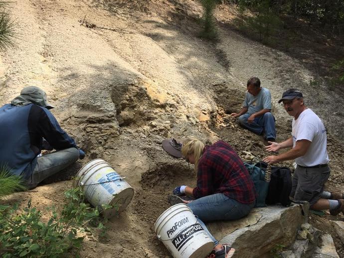 Day 2 at the Carmel Church Quarry with the VMNH paleo crew and a lot of volunteers