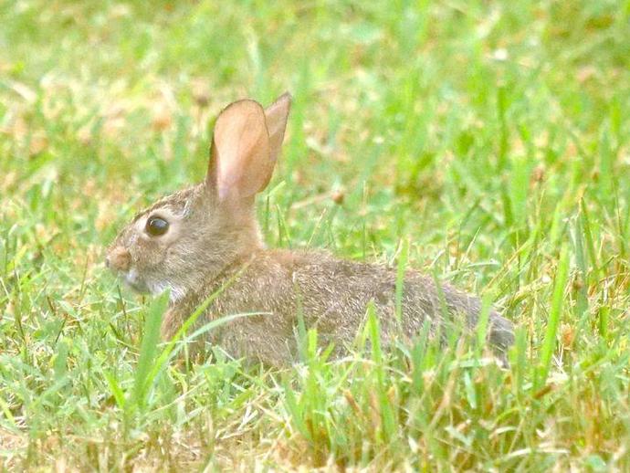 Ben here with the Friday edition of #BenInNature presented by our friends at Carter Bank & Trust!