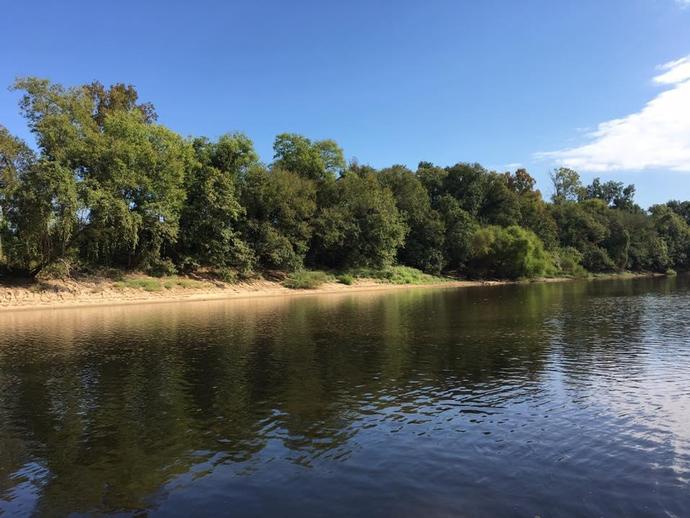 VMNH paleontologist Alex Hastings spent the weekend fossil-collecting in North Carolina