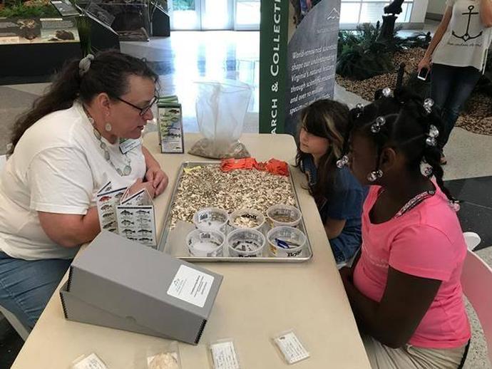 ARCHAEOLOGY DAY AT VMNH IS THIS SATURDAY!
