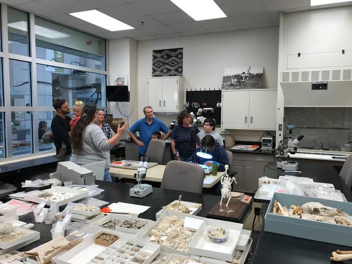 Behind the scenes tours of the museum's archaeology lab are taking place at noon ...
